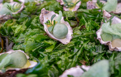 culinair vrijdag-13
